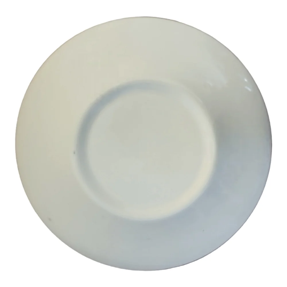 1 Vtg 1960s Royal Ironstone Carprice Pattern Saucer Blue Green Vine